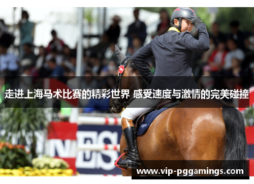 走进上海马术比赛的精彩世界 感受速度与激情的完美碰撞