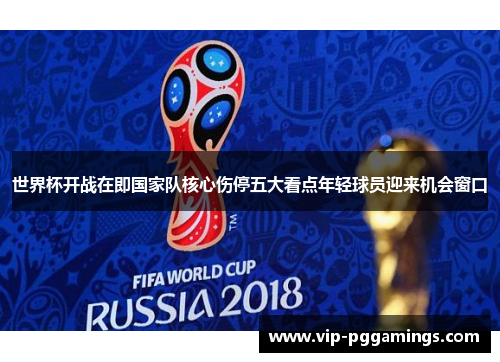 世界杯开战在即国家队核心伤停五大看点年轻球员迎来机会窗口