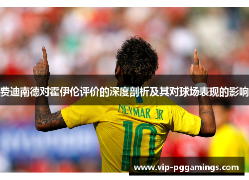 费迪南德对霍伊伦评价的深度剖析及其对球场表现的影响